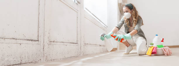 Landisville, PA Mold Inspection, Removal & Remediation Company